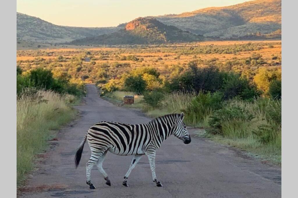 Rhino House With 3 Bedrooms Next To Pilanesberg And Sun City Mogwase Exteriér fotografie