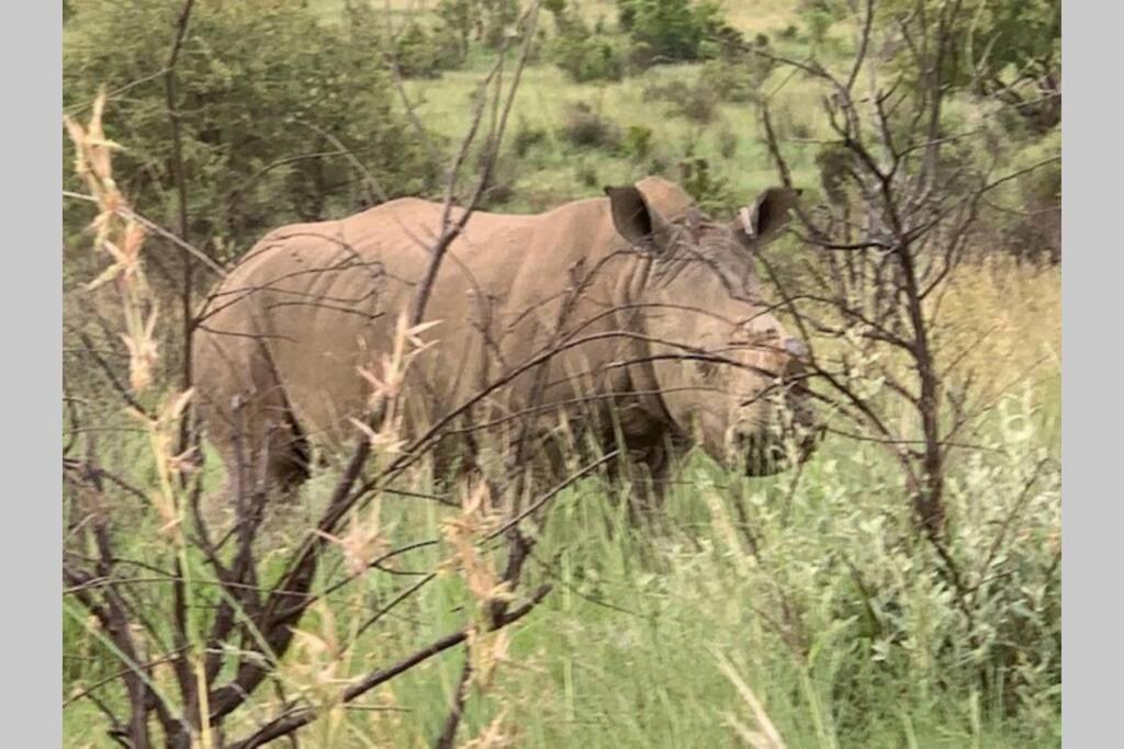 Rhino House With 3 Bedrooms Next To Pilanesberg And Sun City Mogwase Exteriér fotografie